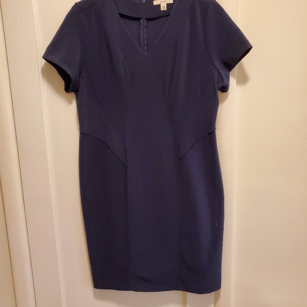 Blue Sejour v-neck dress
